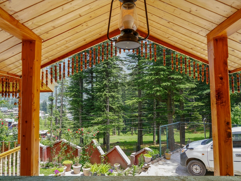 Cotage In Manali-Forest Way Cottage-View